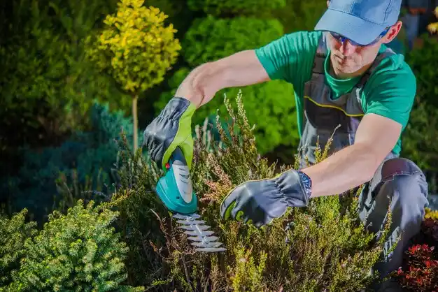 landscaping services Twinsburg